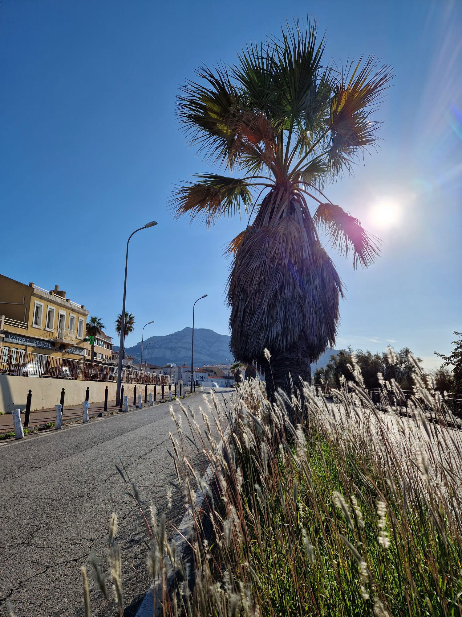 Les Voyages Exploratoires 81