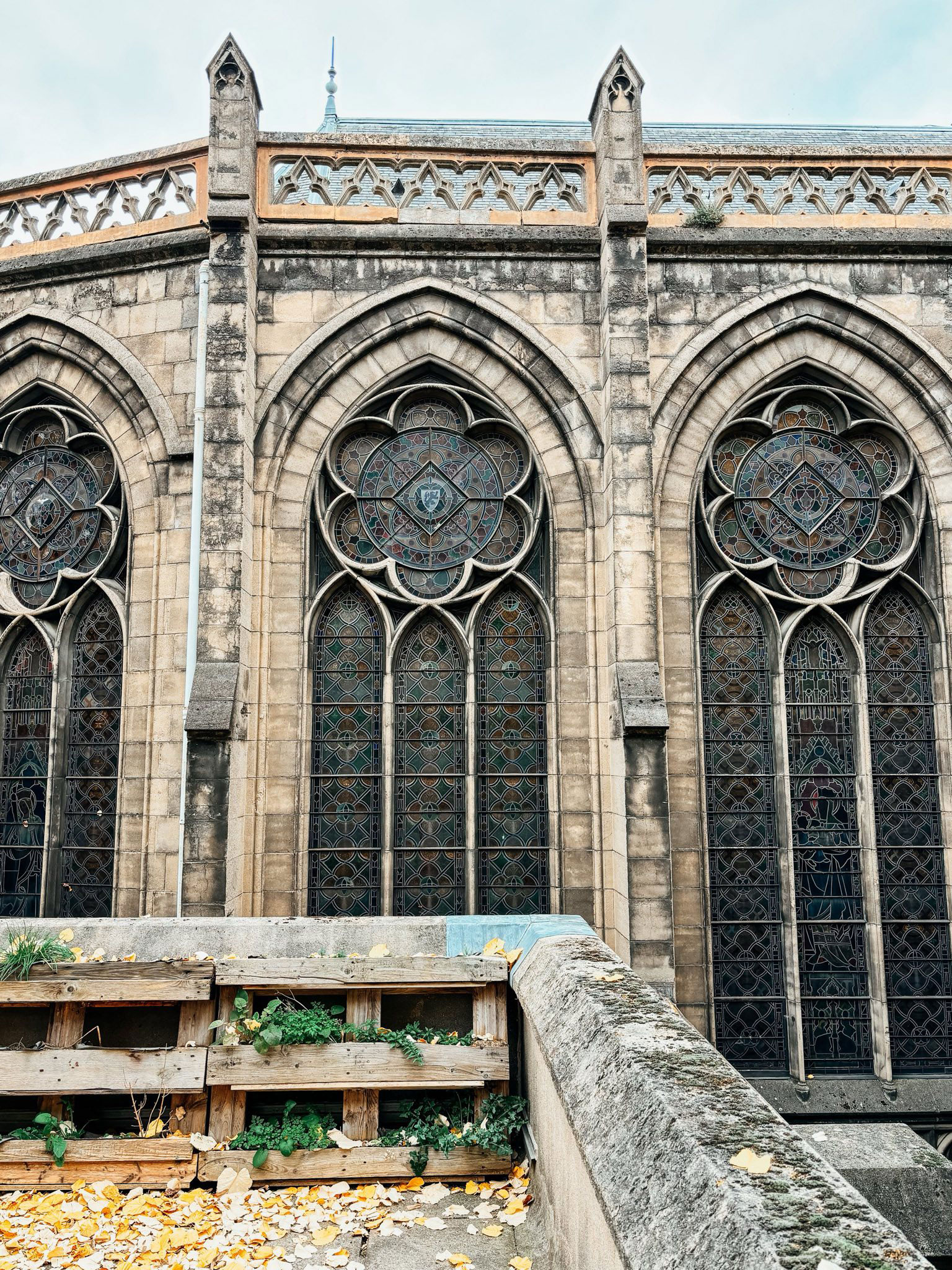 Les Voyages Exploratoires 124